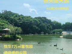 -厦门悦华酒店