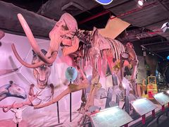 -正佳自然科学博物馆