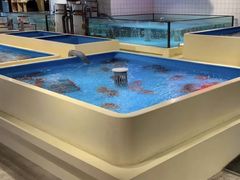 水产区-日进一片海.生腌海鲜火锅.宵夜烧烤(三里屯总店)