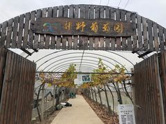 -嘉北郊野公园