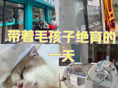 -瑞派天使宠物医院·神经外科·骨科·核磁CT(洛川中路店)