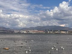 -洱海月湿地公园
