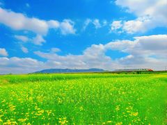 -光明小镇欢乐田园