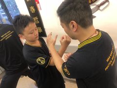 -温鉴良实用咏春拳