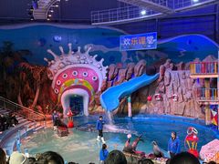 -烟台海昌鲸鲨海洋公园