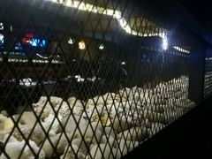 -大碗厨 25年老字号 现炒湘菜(四季天地店)