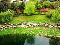 -绿城千岛湖喜来登度假酒店