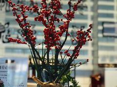 -乌托邦咖啡(武侯祠店)