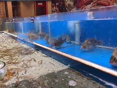 海鲜-万荣烤鸭店·北京菜(天坛店)
