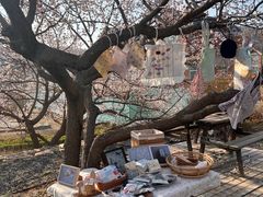 -北马山庄植趣咖啡