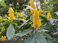 -北京植物园-展览温室