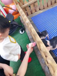 -萌宠亲子动物乐园(槐房万达店)