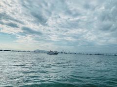 -五缘湾游艇帆船俱乐部