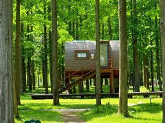 -黄海国家森林公园