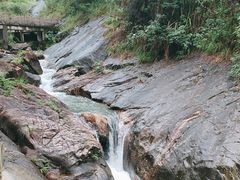 -广州白江湖森林公园