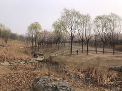 -马家湾湿地公园