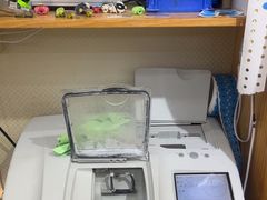 -三叶眼镜城加工坊