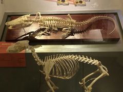 -国家自然博物馆