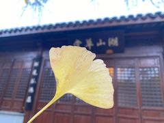 -宝界山林公园