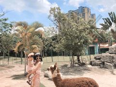 -灵玲国际马戏城