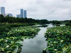 -艾溪湖湿地公园