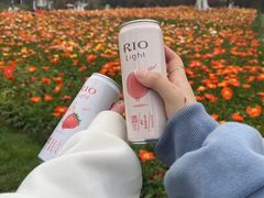 -秀丽东方