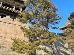 -沈阳市东陵公园