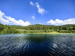 -武陵山森林公园