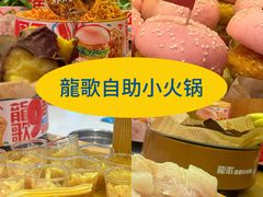 -龍歌自助小火锅(崂山丽达店)
