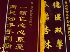 -瑞派福兴宠物医院犬猫全科·骨科·中西医结合(河东店)