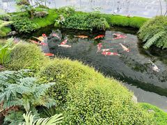 -罗红摄影艺术馆