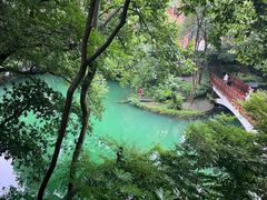 -之江大学-旧址