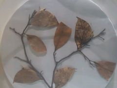 -常州博物馆