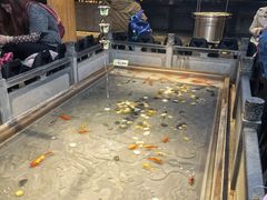 -四季民福烤鸭店(前门店)