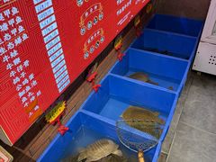 -状元甲·湖北甲鱼大王(汉口火车站店)