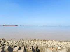 -上海滨江森林公园