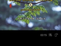 -裕和堂中医推拿艾灸(太古汇臻品店)