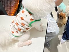 -怪兽屋·羊驼·猫咖·狗咖(俊华广场店)