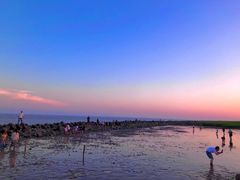 -南汇嘴观海公园