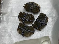 -小陆莲花蟹园农家乐(莲花岛店)