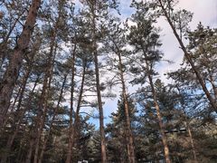 -帽儿山国家森林公园