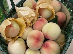 -老袁家蜜桃农场·阳山水蜜桃