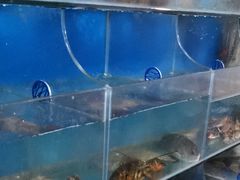 -宾朋海鲜特色美食餐厅·纯手工鲅鱼水饺(兴海路店)