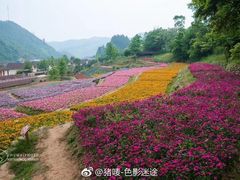 -大余丫山旅游度假区
