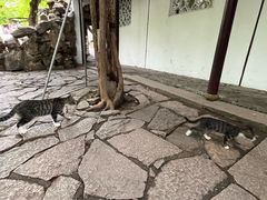 -西园戒幢律寺