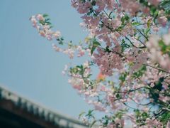 -龙华寺