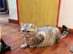 -H立方实景剧情密室(天河旗舰店)