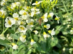 -中国天府农业博览园