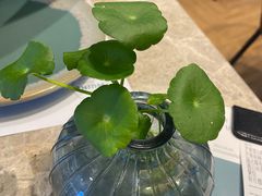 -美奈小馆·东南亚菜(福田星河COCO Park店)