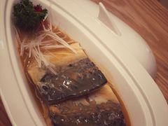 -一本钓鲔鱼屋